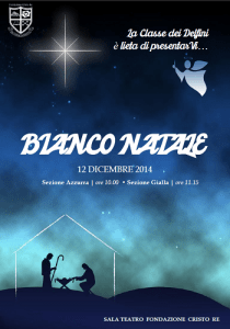 Delfini_Natale