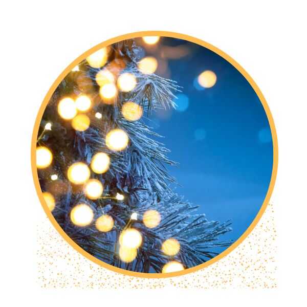 Orsetti - Natale 2022