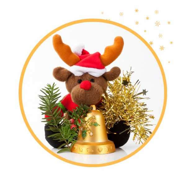 Gattini Natale 2022
