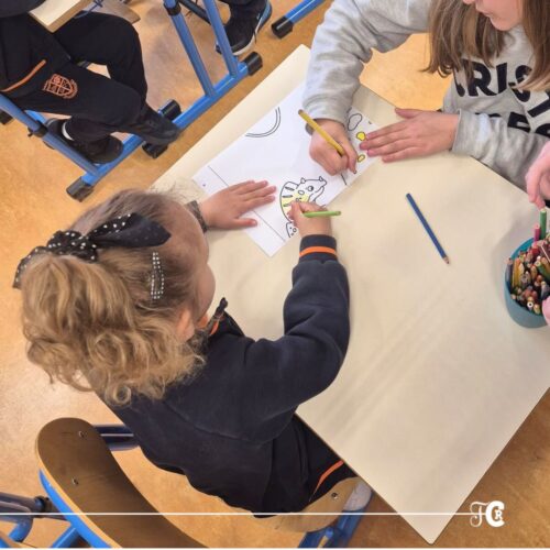 Progetto Continuit&agrave; Didattica: a ottobre riprendono gli appuntamenti tra i diversi ordini di scuola